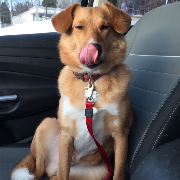 Meet your Posher, Cherilyn - Picture 2 of 4